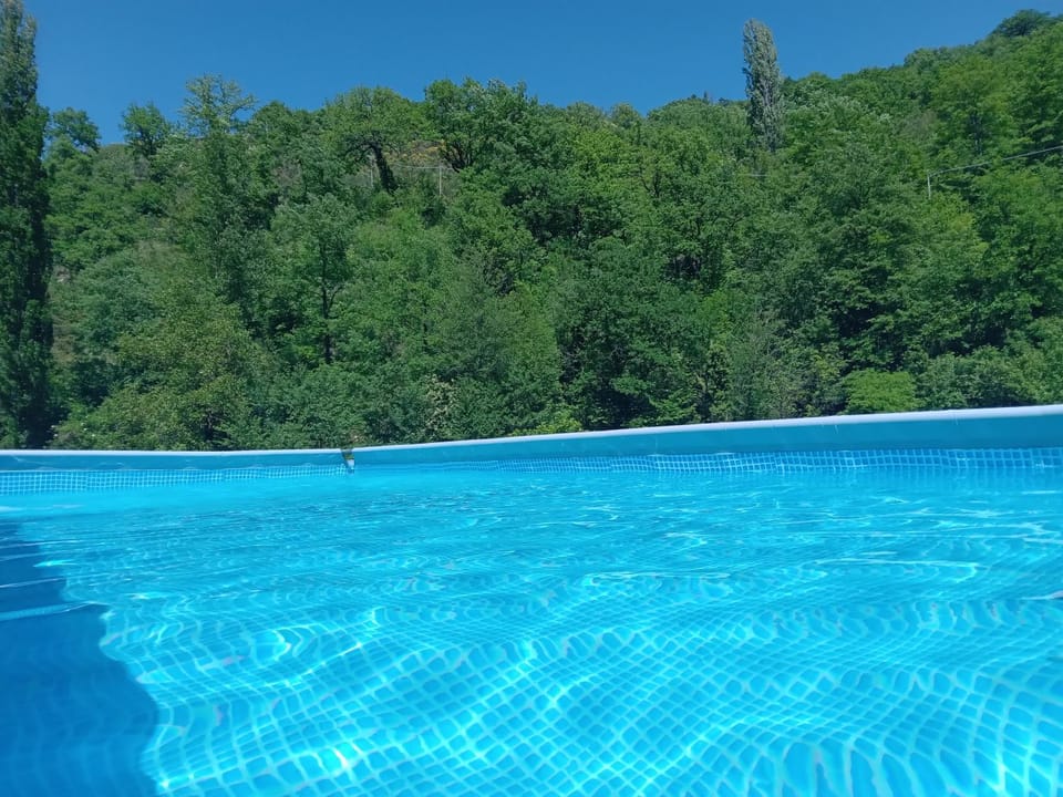 Garden, Swimming pool