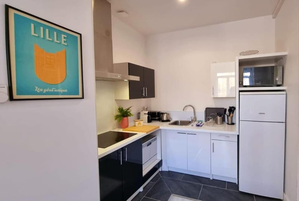 Lilly-Tout a pied proche gares Grd Palais&Centre Apartment in Lille