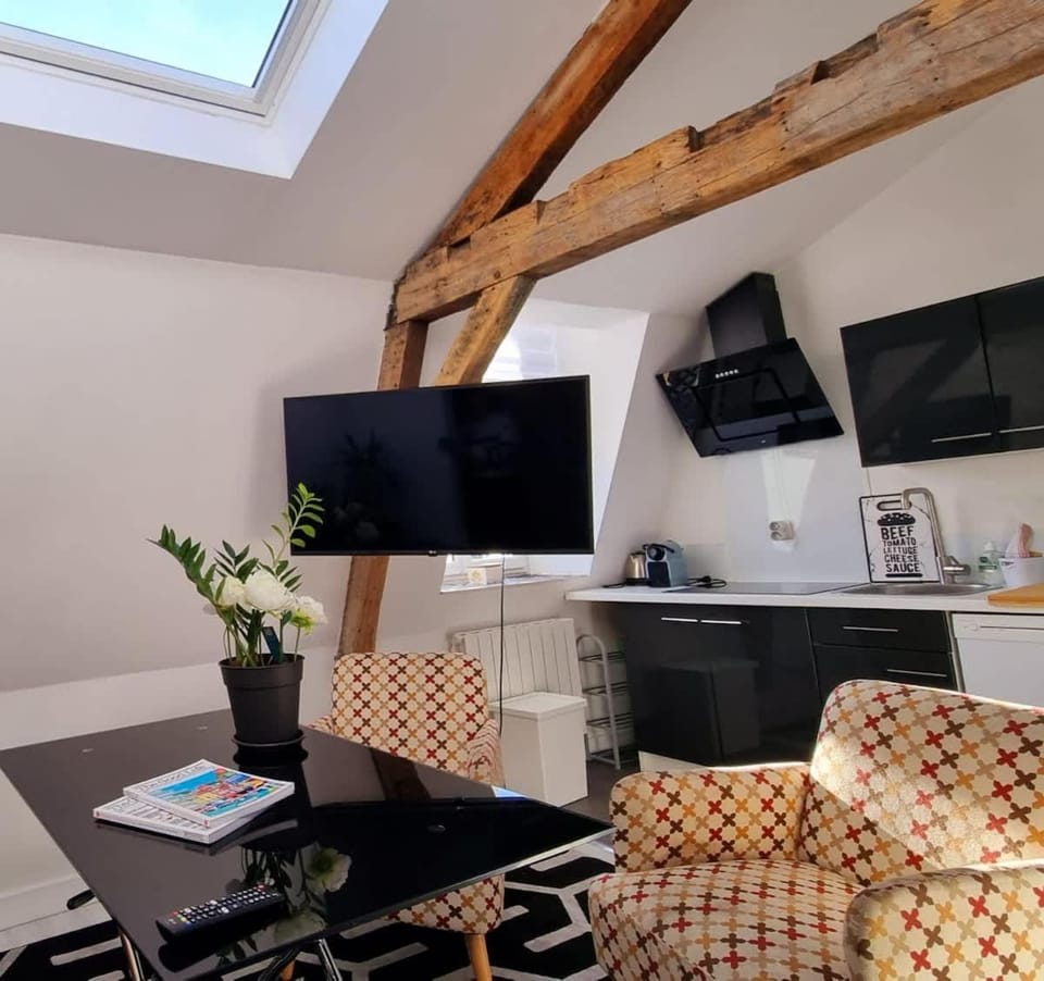 Daisy-Gares Grd Palais Zenith&Centre a Deux Pas Apartment in Lille