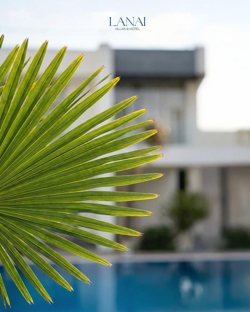 Day, Pool view