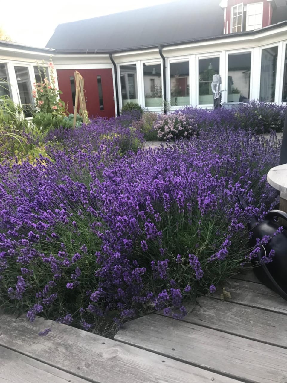 Garden view