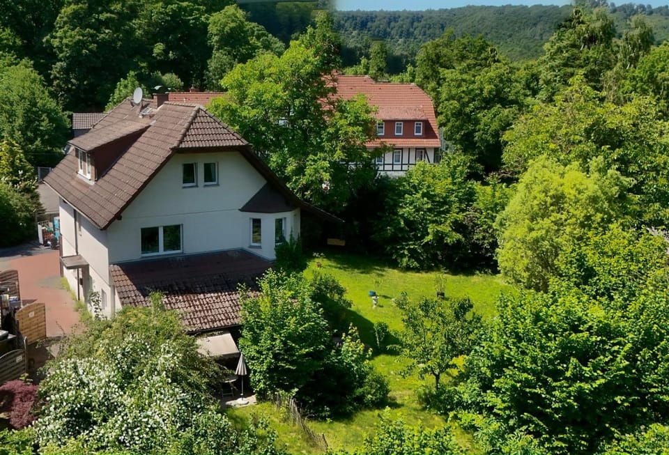 Bird's eye view, Garden, Garden view