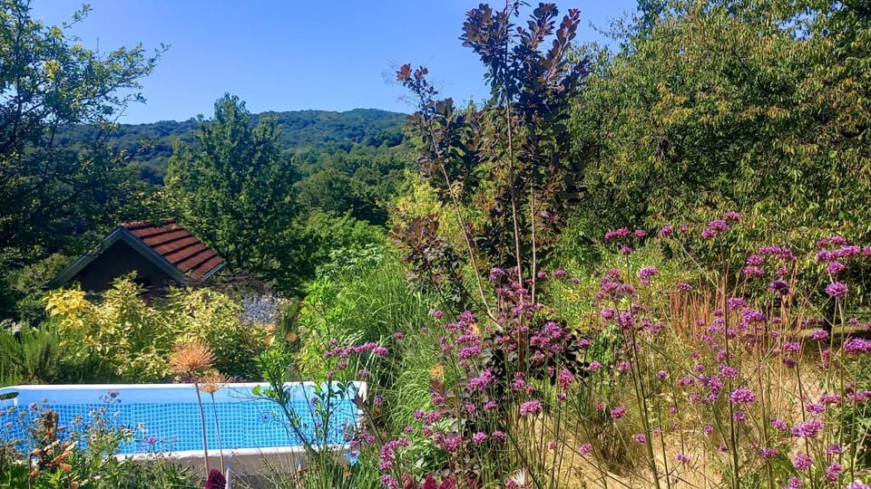 Garden, Swimming pool