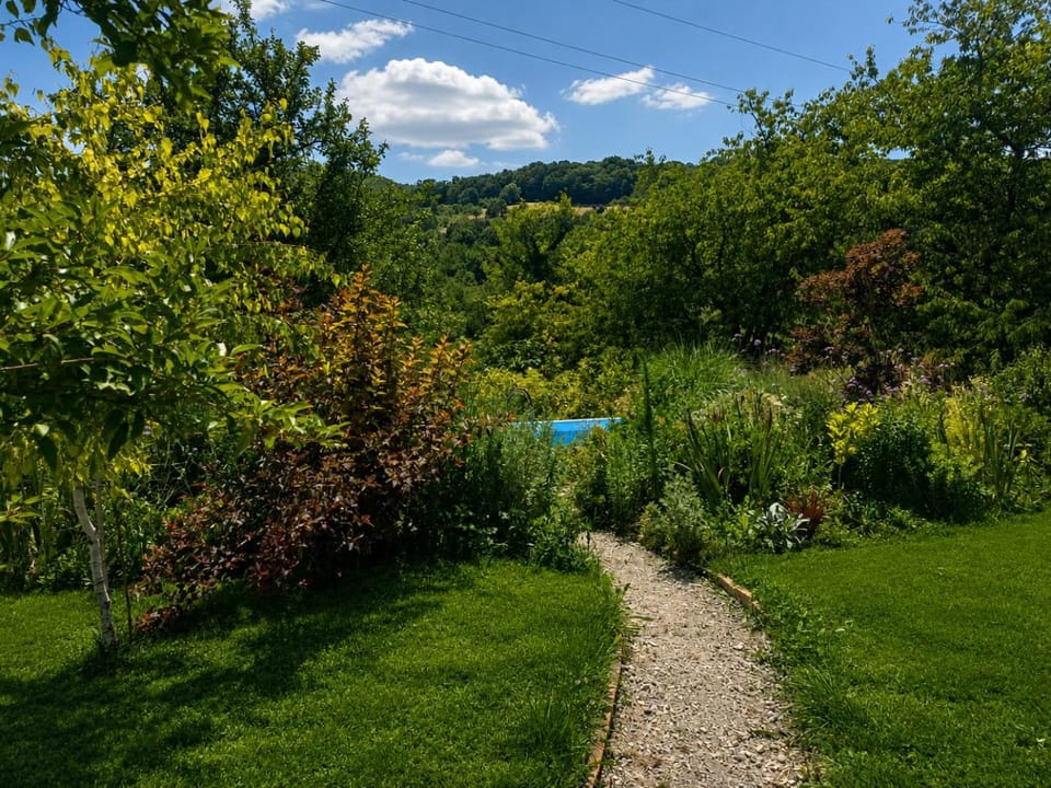 Garden, Garden view, Pool view