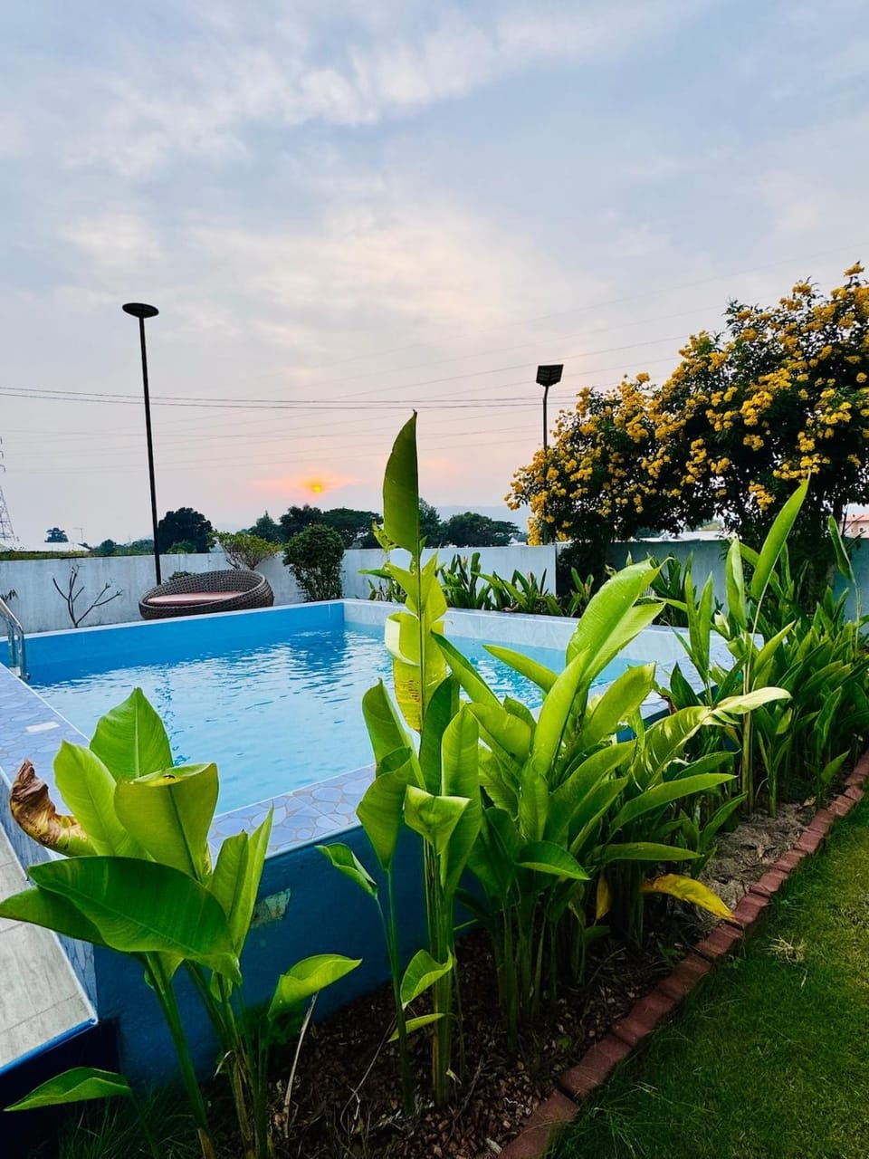 Swimming pool