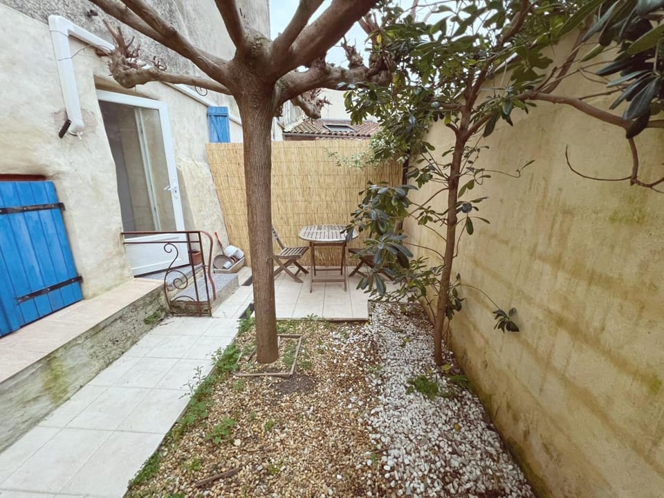 Patio, Spring, Day, Winter, Garden, Dining area, Garden view