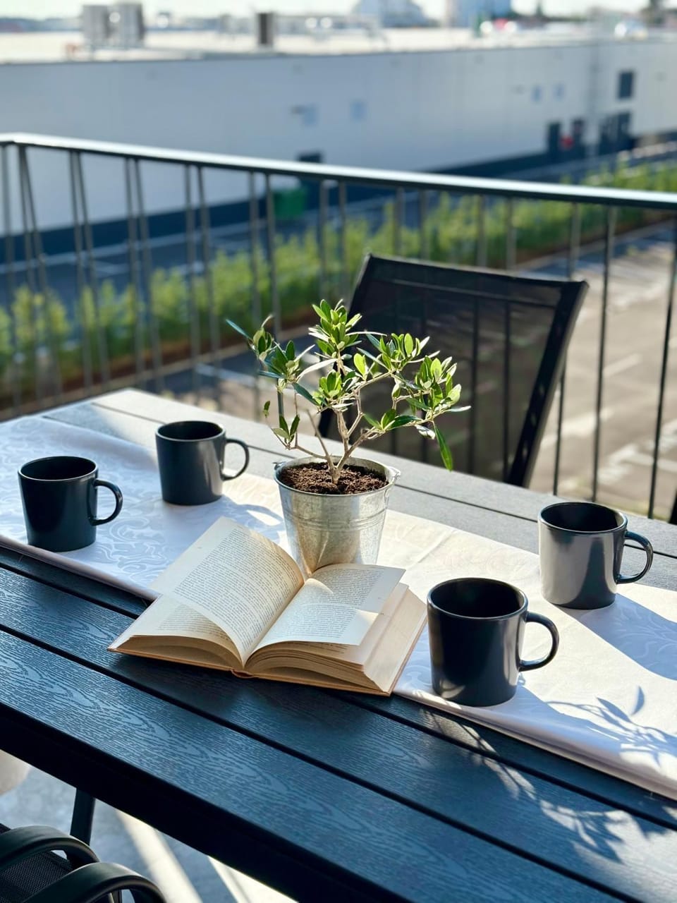 Balcony/Terrace