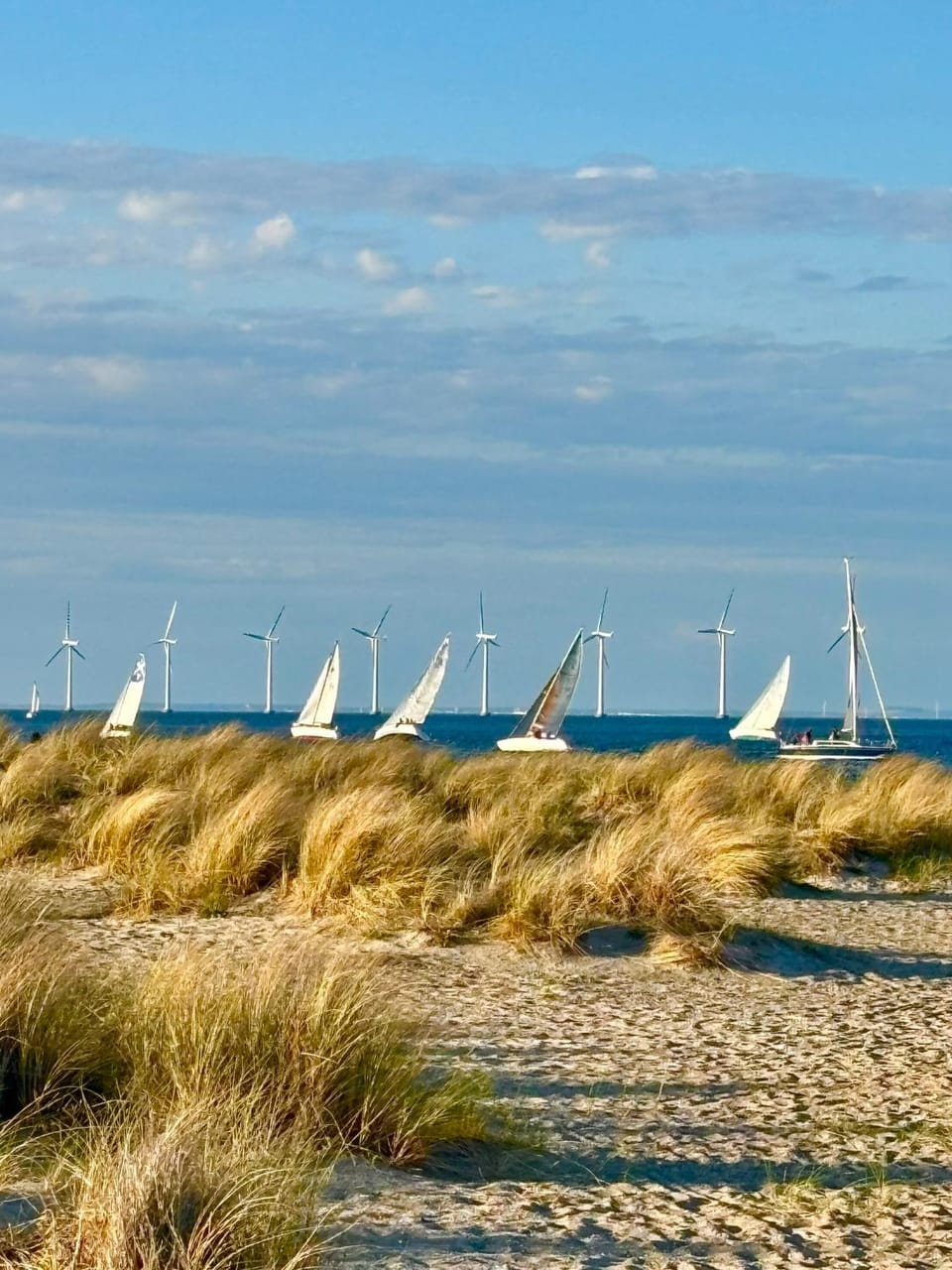 Seafront Lux Apt, Central, Beach, Direct Airport Metro Apartment in Copenhagen
