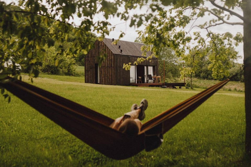 Natural landscape, Garden, Guests