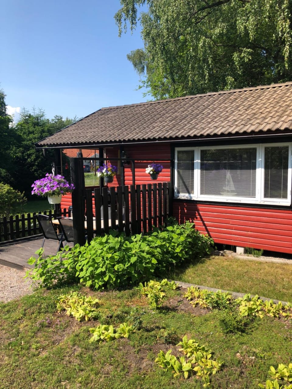 Property building, Garden, Garden view