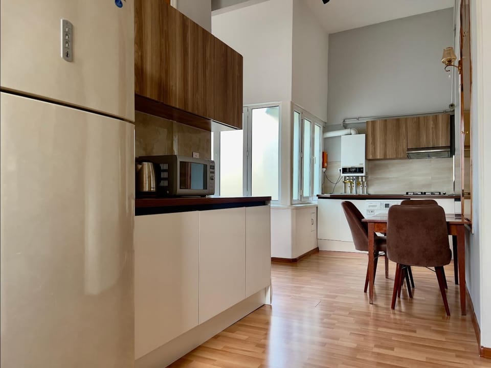 Spacious historic flat by Fountain Square Apartment in Baku