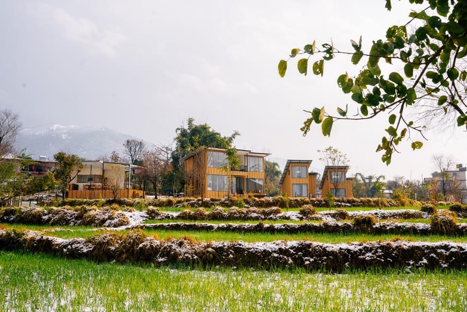 Property building, Restaurant/places to eat, Natural landscape, Breakfast
