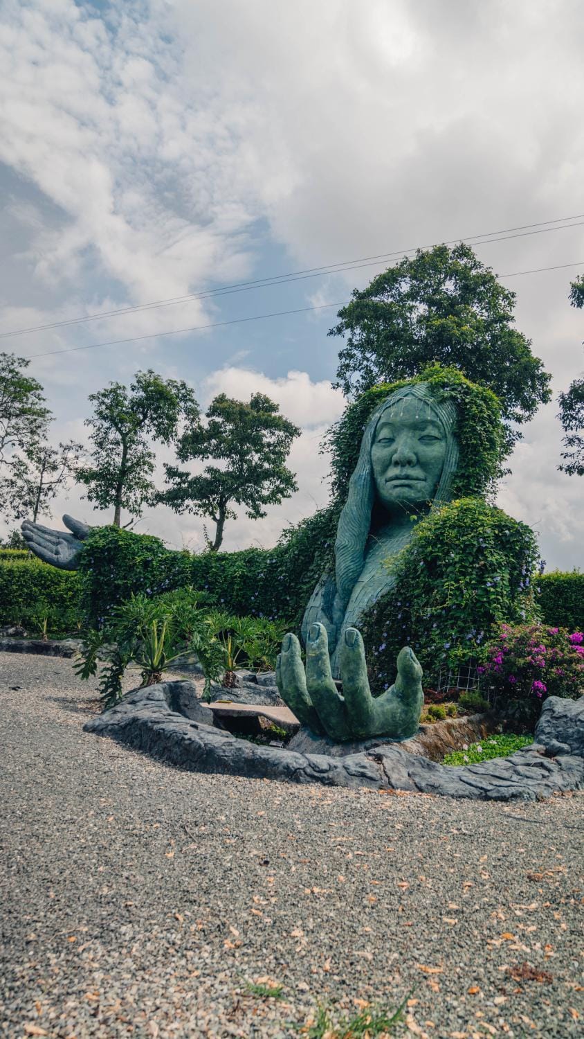 Garden view
