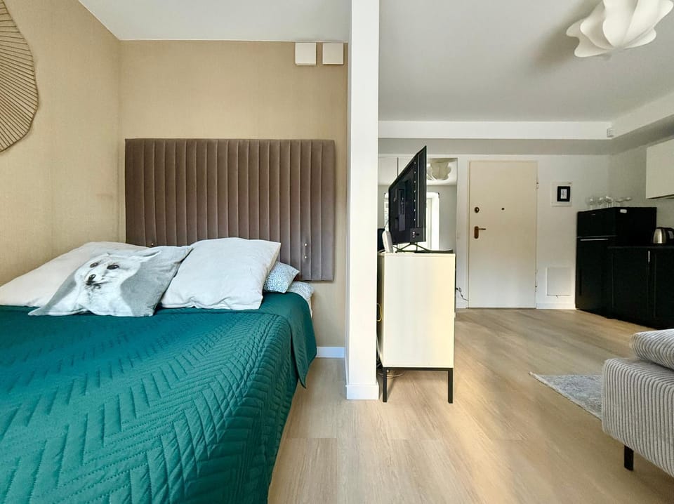 Bed, TV and multimedia, Living room, Seating area, kitchen