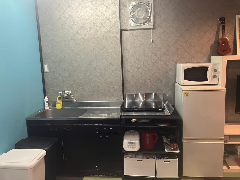 Kitchen or kitchenette, kitchen