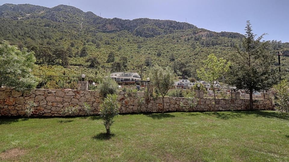 Garden, Mountain view