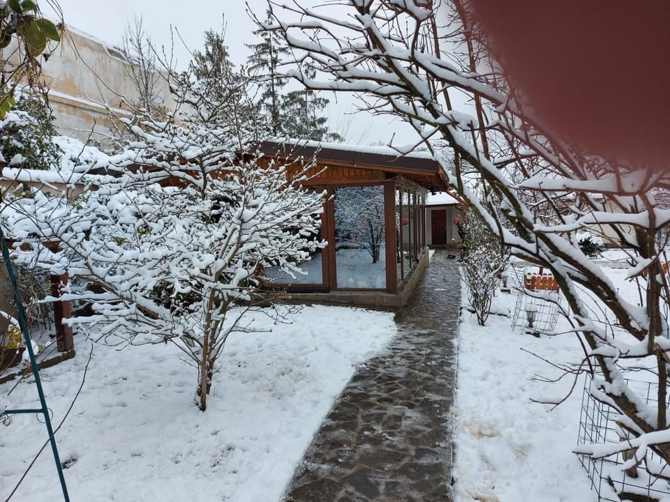 Property building, Patio, Facade/entrance, Winter