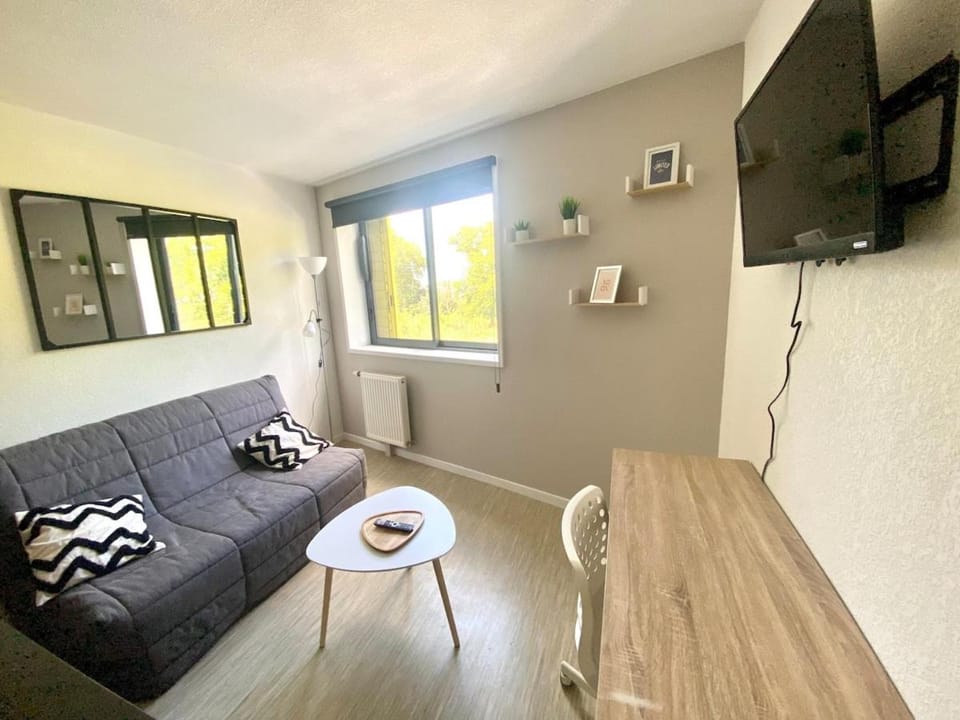 Studio WIFI TÉLÉ parking privé ,ENTREE AUTONOME Apartment in Toulouse