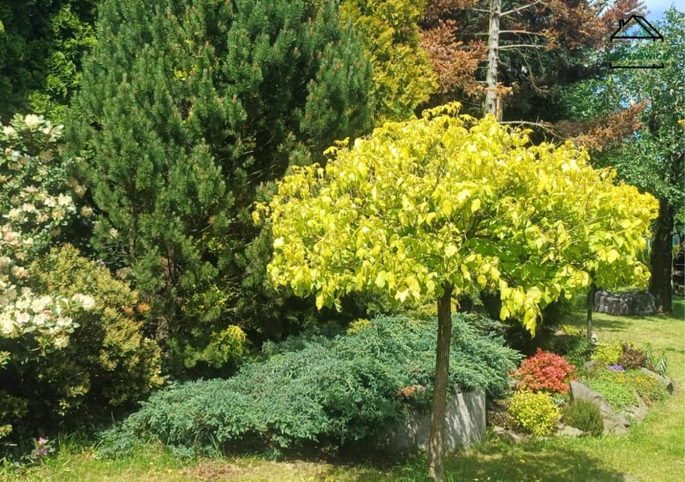 Spring, Day, Natural landscape, Garden, Garden view