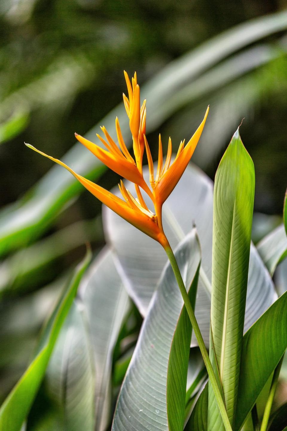 Natural landscape