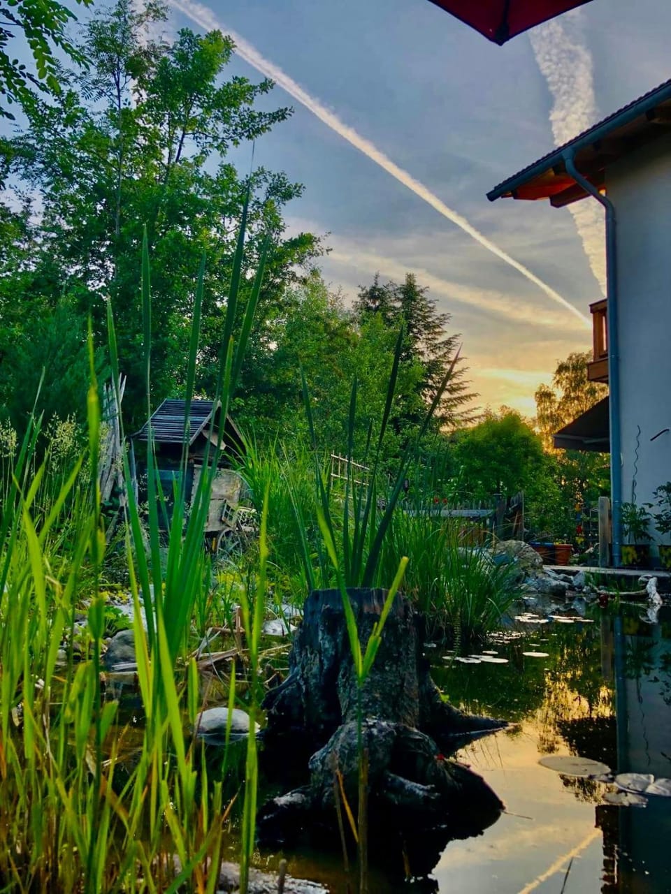 Day, Natural landscape, Garden, Garden view