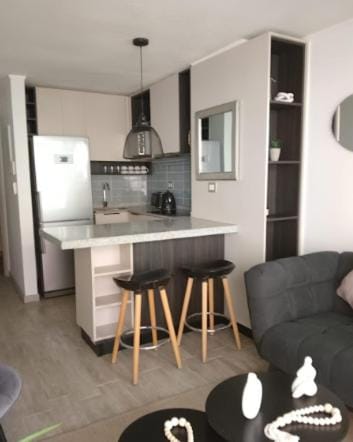 Movistar Arena y Fantasilandia I 1H1B I Santiago Apartment in Santiago