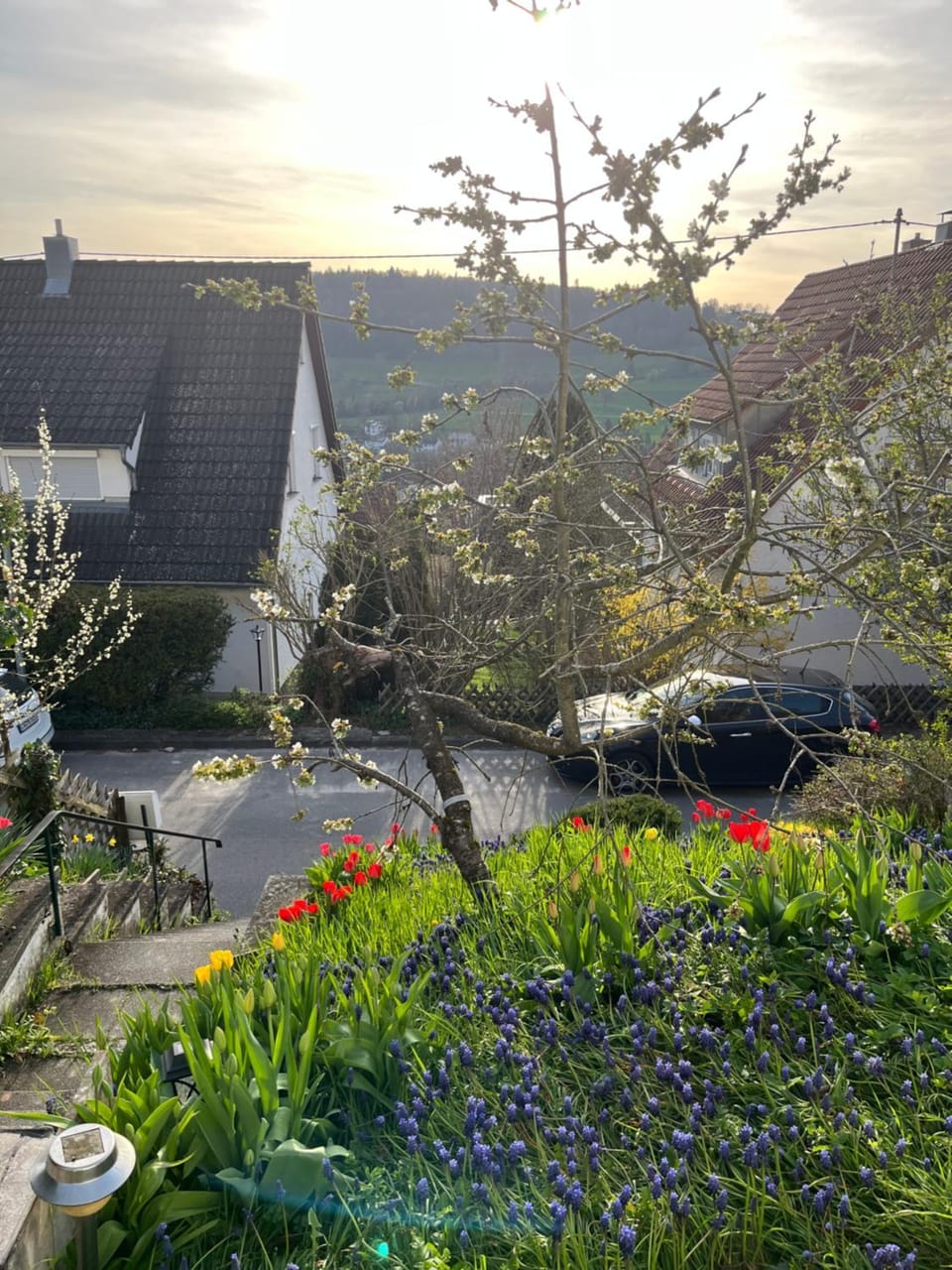 Ellis Häusle House in Baden-Württemberg