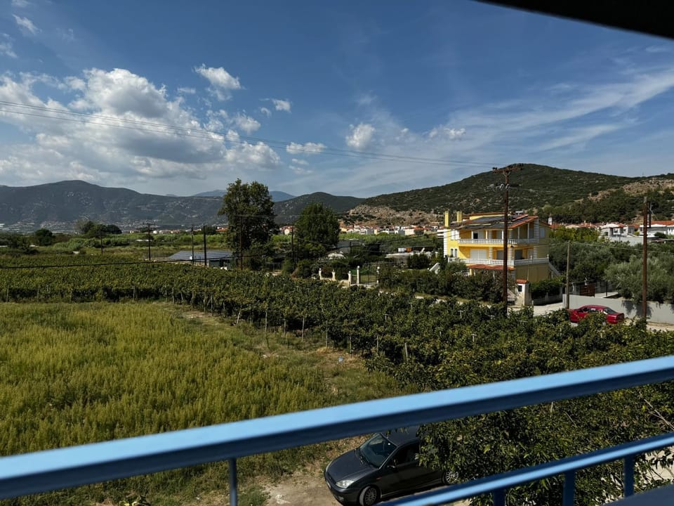 View (from property/room)