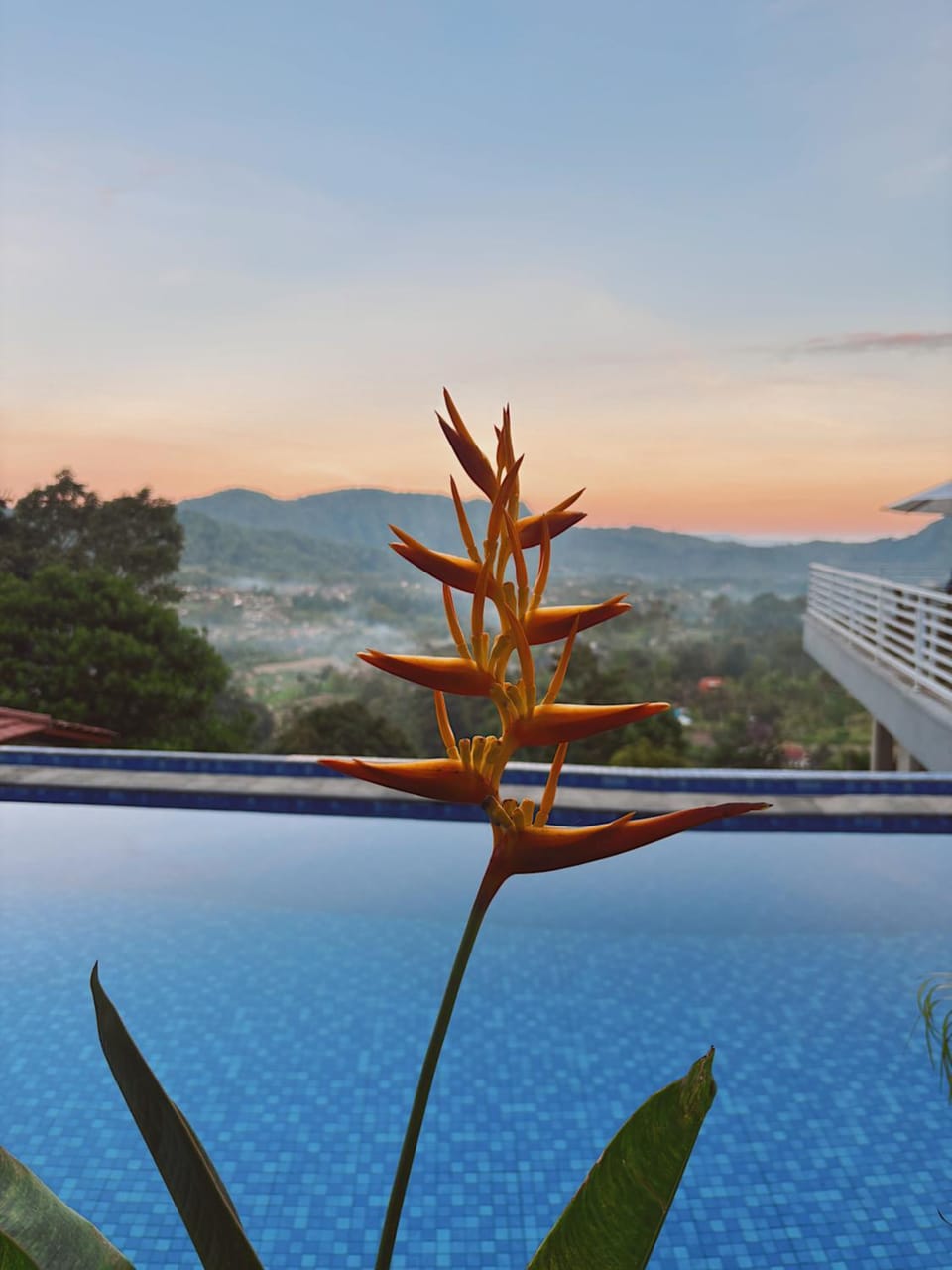 STHANATAPA HILL's Nature lodge in Sidemen