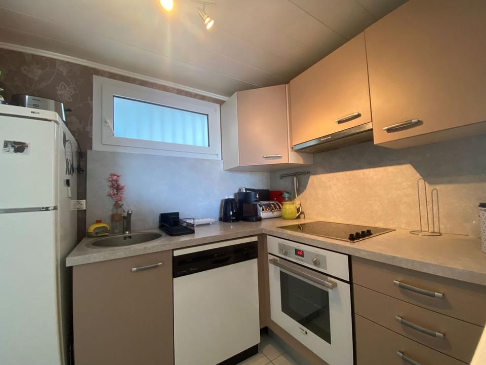 Appartement lumineux à Mèze - 4 pers, 2 ch, Clim, Parking - FR-1-604-57 Apartment in Mèze