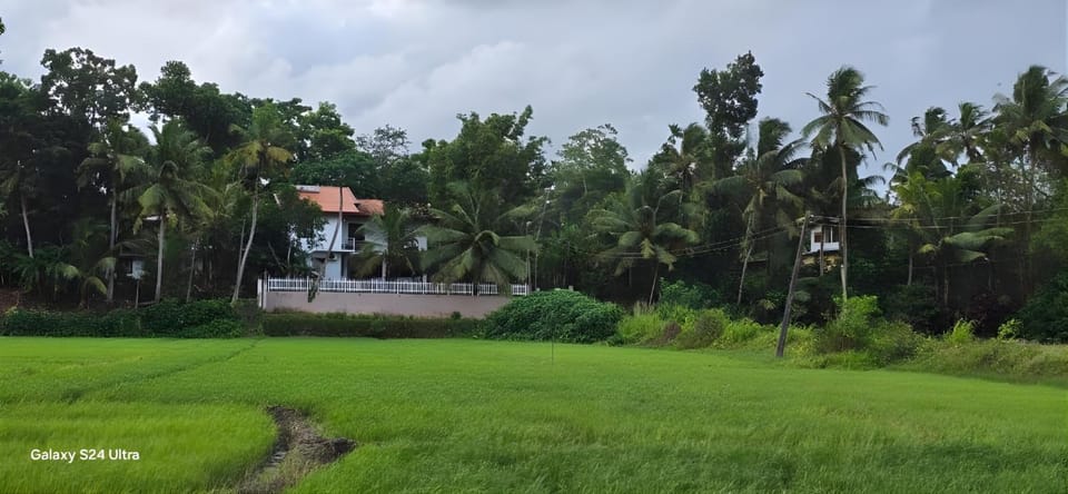 Property building, Day, Garden view