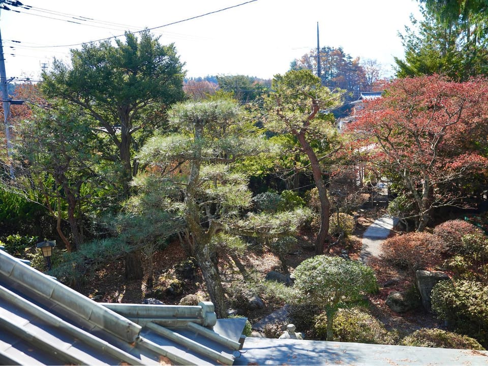 Day, Natural landscape, Garden, View (from property/room), Garden view