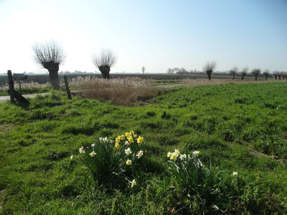 'T Lang Zweerd House in Middelkerke