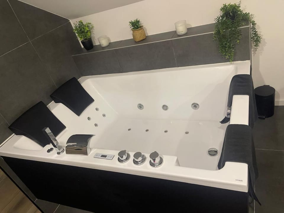 Loft lumineux, deco soignée et ambiance zen Villa in Villeneuve-d'Ascq