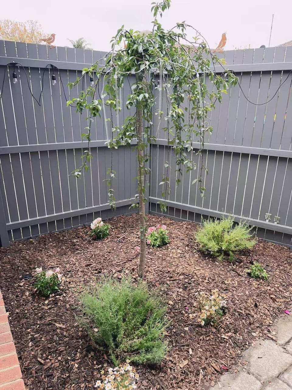 Garden, Garden