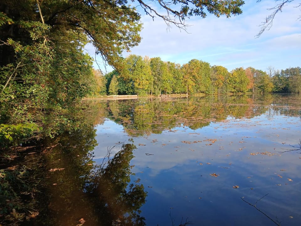Natural landscape, Lake view