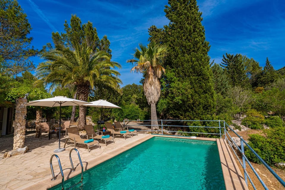 Pool view, Swimming pool