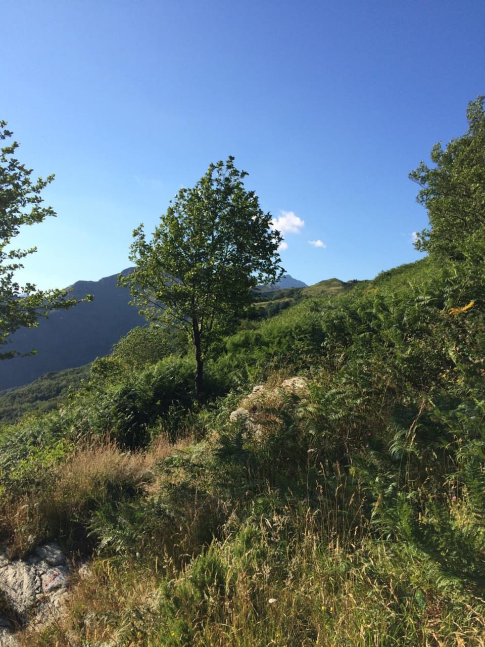 Hiking