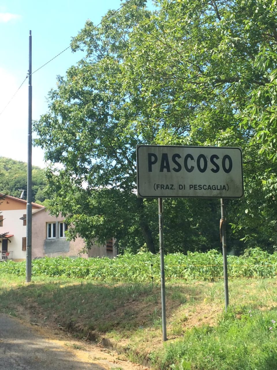 Logo/Certificate/Sign
