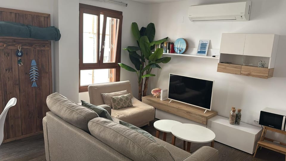 TV and multimedia, Seating area, air conditioner