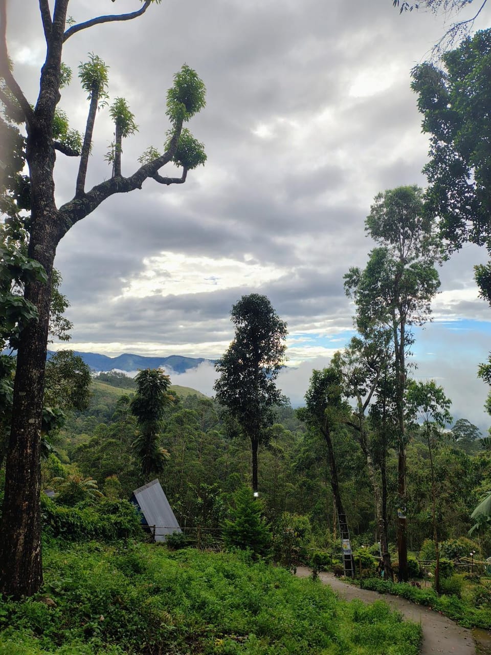 Nature Heaven holidays Campground/ 
RV Resort in Kerala