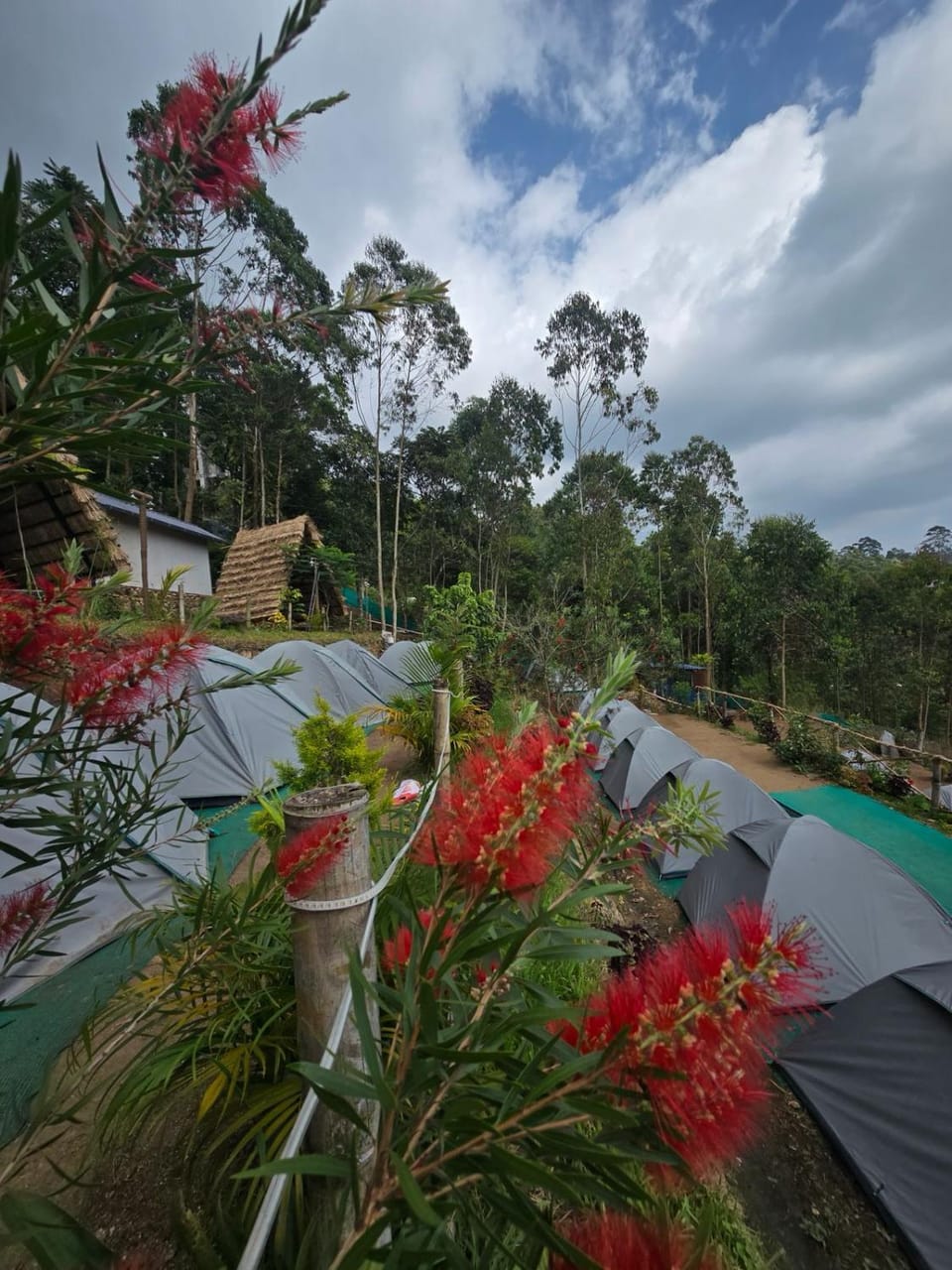 Nature Heaven holidays Campground/ 
RV Resort in Kerala