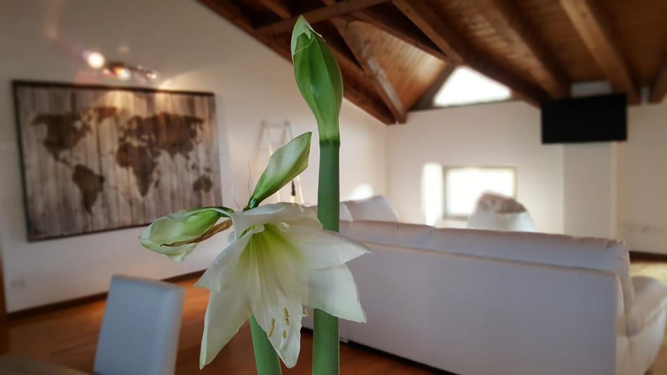 Donizetti Royal Bed and Breakfast in Bergamo