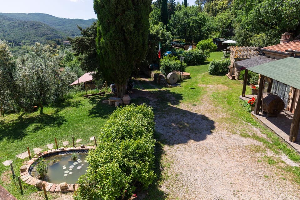 Natural landscape, Garden, Garden view