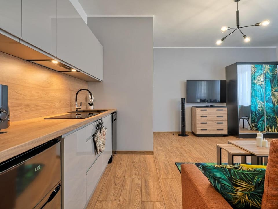 Living room, kitchen