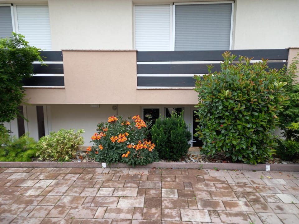 Property building, Patio, Balcony/Terrace, Street view, Parking