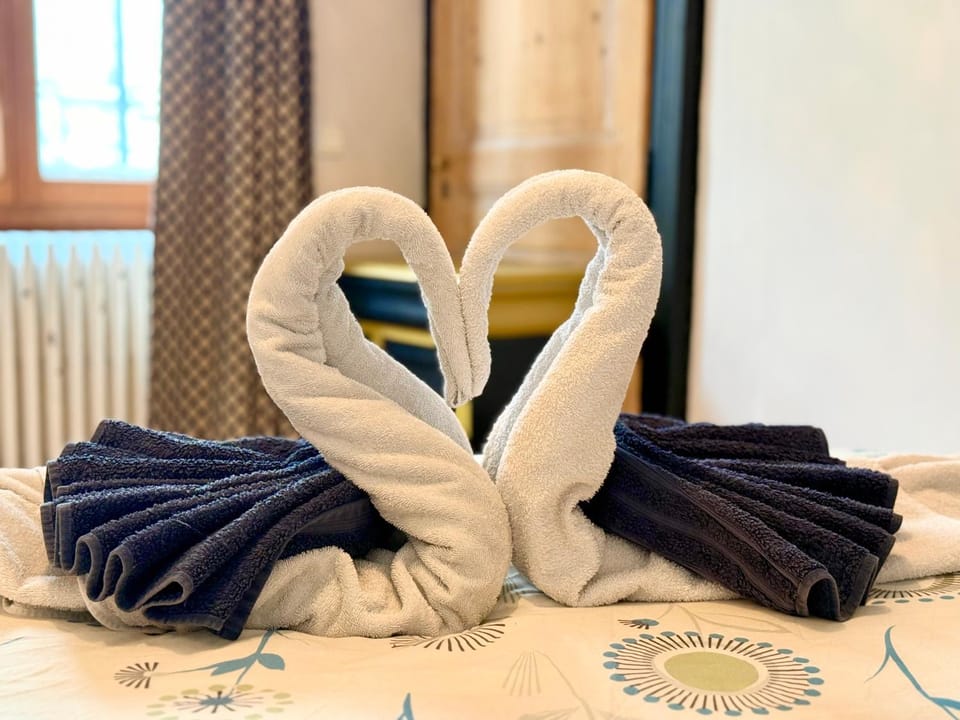 Refuge Savoyard - Centre, parking et balcon Apartment in Chambery