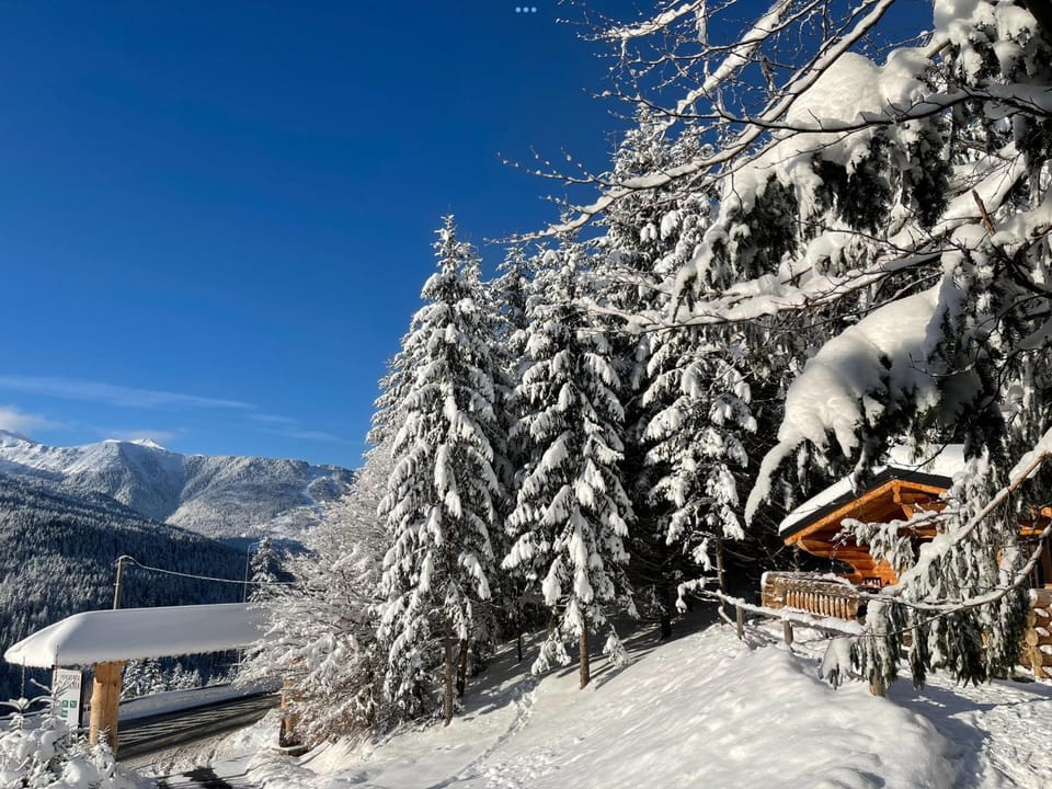 Pensiunea Silvania Bed and Breakfast in Romania