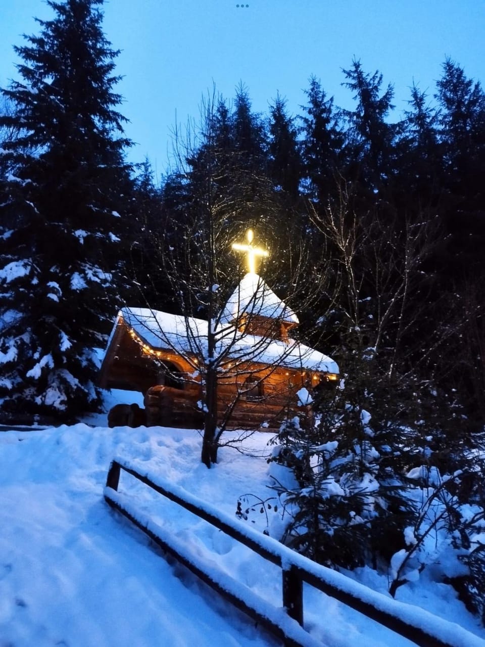 Pensiunea Silvania Bed and Breakfast in Romania