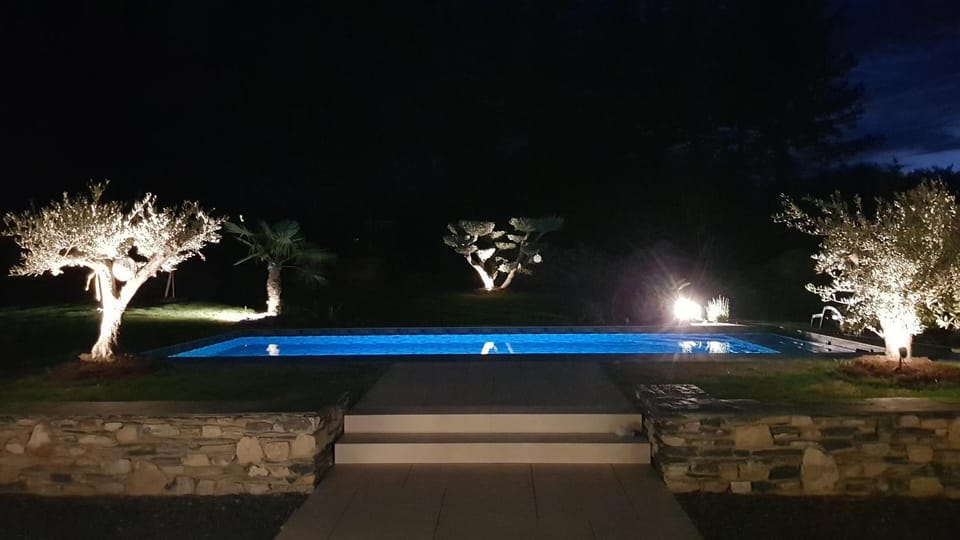 Night, Natural landscape, Garden, Pool view, Swimming pool